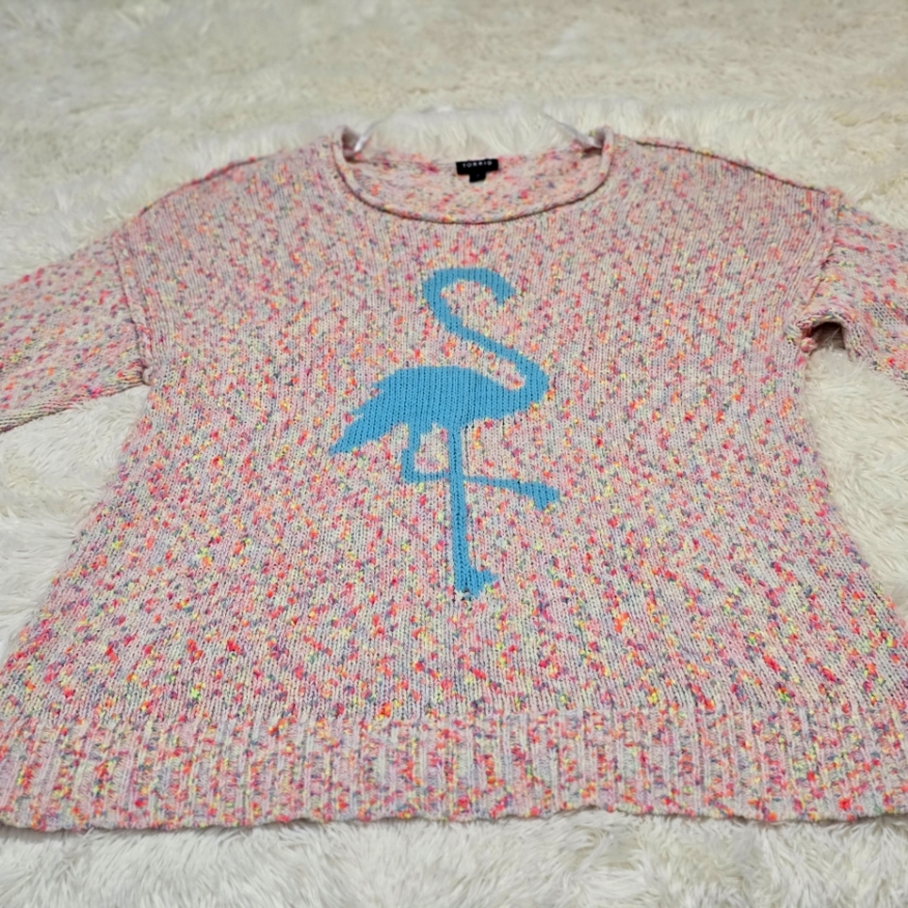 Torrid sweater